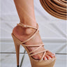 Lili....Strappy Heels Cape Robbin Shoes