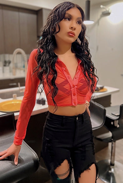 Blair.....Long Sleeve Crop Mesh Top