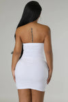 Special Delivery....Tube Front Zipper Mini Dress